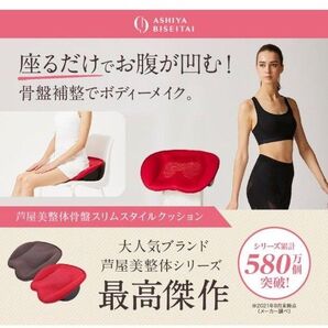 芦屋美整体 骨盤クッション colorブラウン