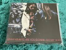 ★LENNY KRAVITZ★2CD★ARE YOU GONNA GO MY WAY★20TH ANNIVERSARY DELUXE EDITION★REMASTERED/リマスター★レニー・クラヴィッツ★_画像1