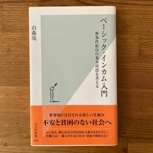 ベーシック・インカム入門　無条件給付の基本所得を考える （光文社新書　３８９） 山森亮／著