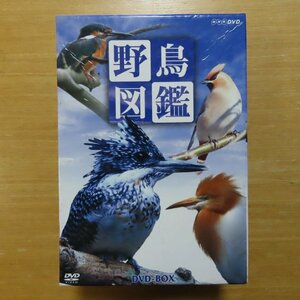 41086088;【4DVDBOX/NHK】 / 野鳥図鑑