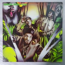 10019669;【Germany盤】Jungle Brothers / Straight Out The Jungle_画像1