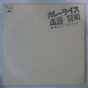 11177246;【国内盤/7inch】遠藤賢司 / カレーライス / 満足できるかな