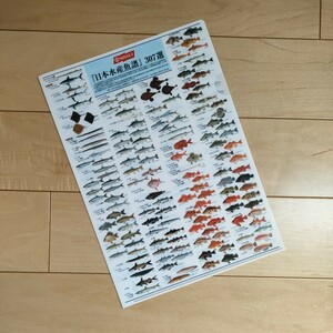 新品　非売品　ニッスイ★A4クリアファイル★日本水産魚譜 フィッシング魚図鑑文房具