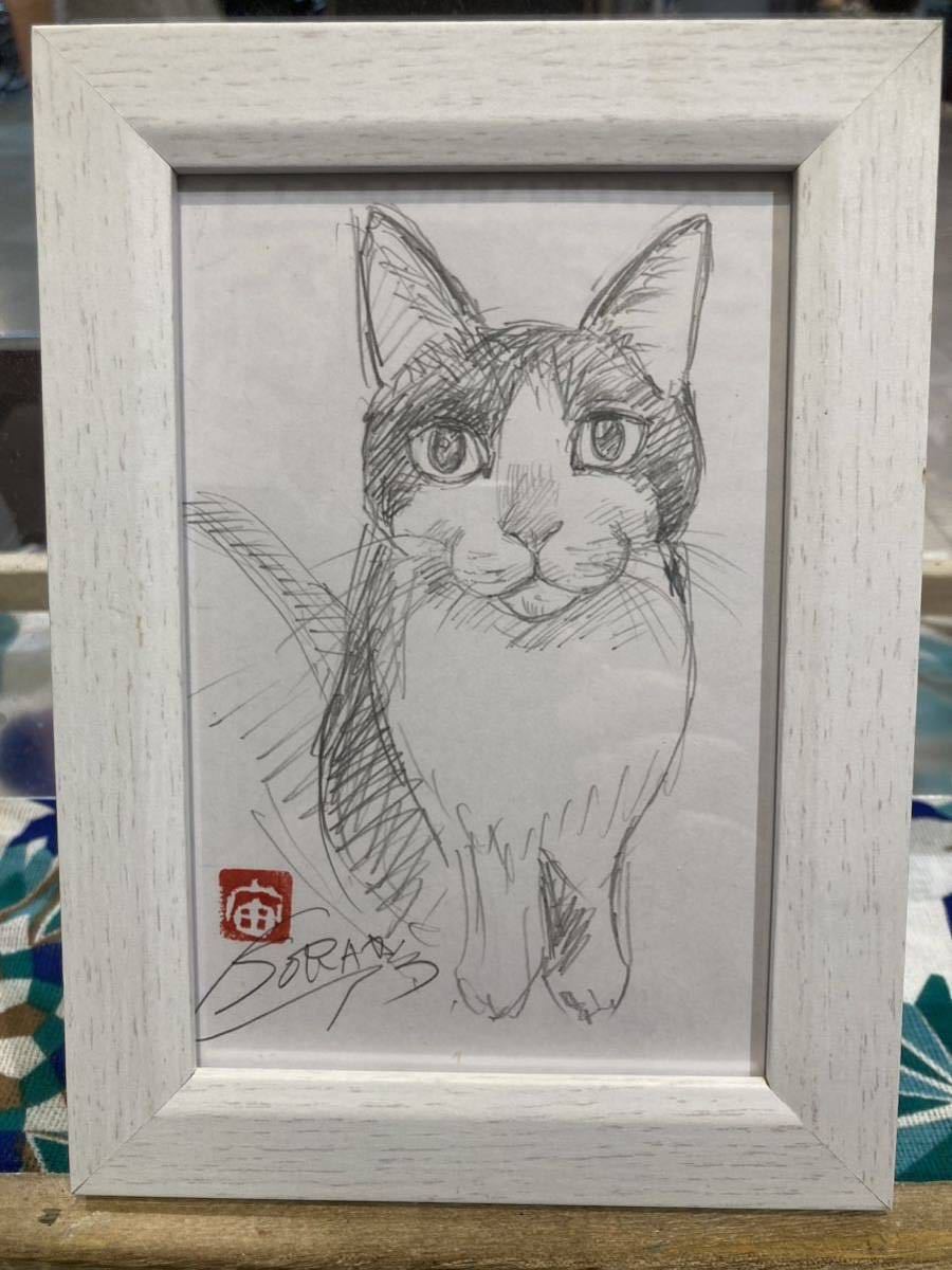 Professional manga artist Terusaku Sora Postcard size drawing Cat lucky charm Handwritten original picture Drawing Cat picture Pencil drawing, artwork, painting, pencil drawing, charcoal drawing