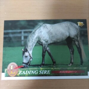  horse racing card collection name horse mejiro McQueen Takarazuka memory heaven .. Hanshin large .. chrysanthemum . champion's title horse .