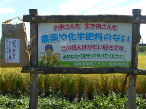 令和5年産・無農薬・無化学肥料　コシヒカリ玄米３０ｋｇ