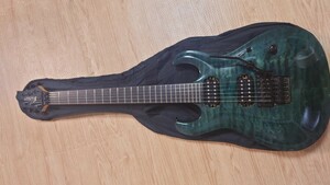 ESP EDWARDS E-RA-110HR