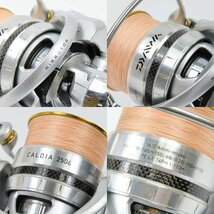 69026★1円スタート★Daiwa ダイワ カルディア 2506 CALDIA スピニング リール フィッシング 釣具 スポーツ用品 シルバー_画像8