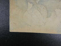 浄瑠璃摺物　絵師不明　昇り龍　彩色木版刷　34.5×52cm　木版画　古文書_画像9
