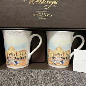 限定品　DISNEYSディズニー　MIRACOSTA ホテルミラコスタ　ペア　マグカップ　fairytalewedding 箱付