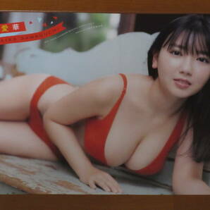 ◆即決◆ 沢口愛華 両面ポスター ⑭の画像1