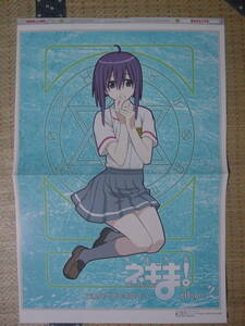 魔法先生ネギま!(宮崎のどか)、杉菜水姫 両面ピンナップポスター