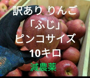 青森県産 減農薬 訳ありりんご ふじ ピンコサイズ 梱包込み約10キロ