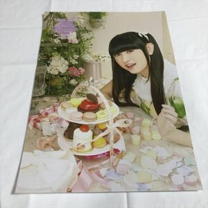 B16836 ◆田村ゆかり A4サイズ ポスター 送料180円 ★5点以上同梱で送料無料★