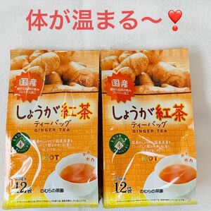 【値下げ！】のむらの茶園 国産しょうが紅茶 2.5g×12袋　2個