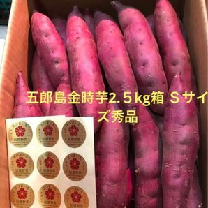 加賀野菜　五郎島金時芋2.5kg Ｓサイズ秀品