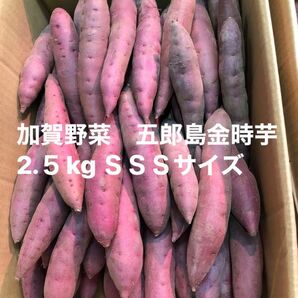 加賀野菜　五郎島金時芋2.5kg ＳＳＳサイズ秀品