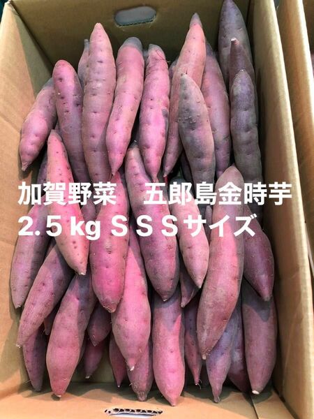 加賀野菜　五郎島金時芋2.5kg ＳＳＳサイズ秀品