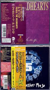 ★ THE WILDHEARTS & SILVER GINGER 5 帯付国内盤 2枚セット P.H.U.Q., BLACK LEATHER MOJO ワイルドハーツ シルバー・ジンジャー５