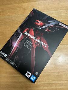 METAL BUILD ストライクガンダム エールストライカー 魂ネイションズストア東京購入 ヘリオポリス ロールアウト S.H Figuarts MG HG