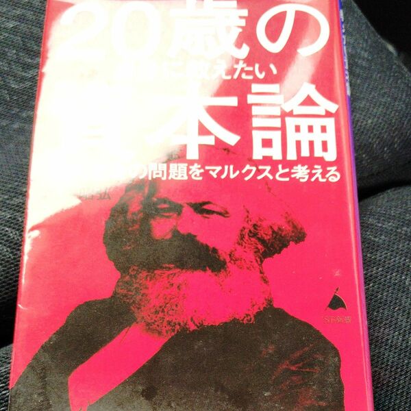 ２０歳の自分に教えたい資本論　現代社会の問題をマルクスと考える （ＳＢ新書　６００） 的場昭弘／著