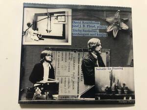 DAVID ROSEBOOM , J.B. FLOYD AND TRICHY SANKARAN - SUITABLE FOR FRAMING CD / 廃盤