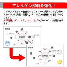 ピットワーク エアコンフィルター　クリーンフィルター 日産 フーガ PY50用 AY685-NS001-01 花粉・におい・アレルゲン対応タイプ PITWORK_画像9