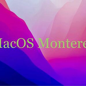 Mac OS Mojave & Monterey インストールUSB