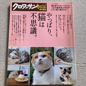 クロワッサンやっぱり猫は不思議。