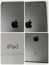 Apple 　iPad mini 　第5世代 　Wi-Fiモデル 64GB　 A2133　スペースグレイ　動作品_画像8