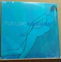 LP(シュリンク・エロジャケ・US盤・NM010・’00年盤・エレクトロニック/ディスコ) アクアノート ／ TRUE LOVE【同梱可能6枚まで】060129_画像1