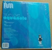 LP(シュリンク・エロジャケ・US盤・NM010・’00年盤・エレクトロニック/ディスコ) アクアノート ／ TRUE LOVE【同梱可能6枚まで】060129_画像2