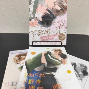 ひねくれ小野寺くんの不器用な恋/栗原カナ/とらのあな限定有償特典小冊子/リーフレット/ペーパー