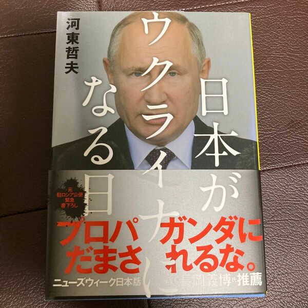 日本がウクライナになる日 河東哲夫／著