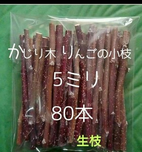 かじり木りんごの細枝80本　生枝