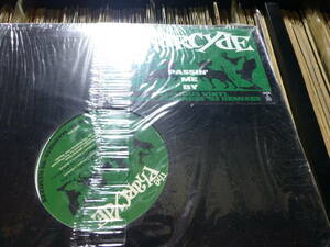 pharcyde/passin' me by/masta ace/saturday nite live