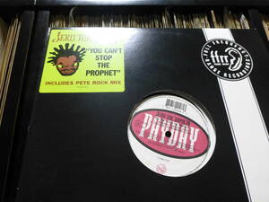 【pete rock remix/us original】jeru the damaja/you can't stop the prophet