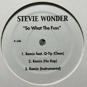 Stevie Wonder / So What The Fuss / Remix ft. Q-Tip / Global Soul Mix