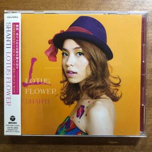 ◆SHANTI【Lotus Flower】◆国内盤 送料4点まで185円