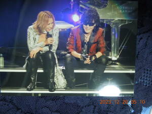 Toshl YOSHIKI ブロマイド 30 / TOSHI 龍玄とし / X JAPAN 生写真