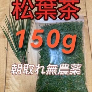 松葉茶　150g 即購入可　即日発送　朝取れ　農薬：栽培期間中不使用