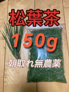 松葉茶　150g 即購入可　即日発送　朝取れ　農薬：栽培期間中不使用