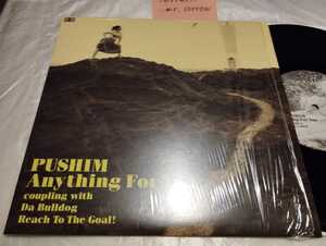 PUSHIM プシン Anything For You 国内盤 10インチレコード Da Bulldog Reach To The Goal ジャパレゲ ラヴァーズ・ロック STERLING刻印