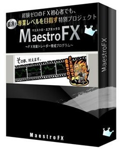 マエストロFX （全26講・補講・概要動画/チャート分析講座画像32枚）の大ボリューム