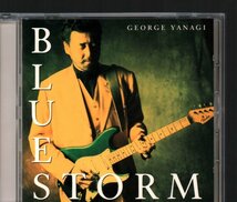 ■柳ジョージ■オリジナル・アルバム■「BLUESTORM」■♪My Baby♪High Time♪Stormy Monday♪■品番:WPCL-664■1992/06/25発売■美品■_画像1