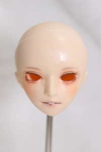 pala box /27cm*newa less mask coloring head A A-23-12-20-226-NY-ZA