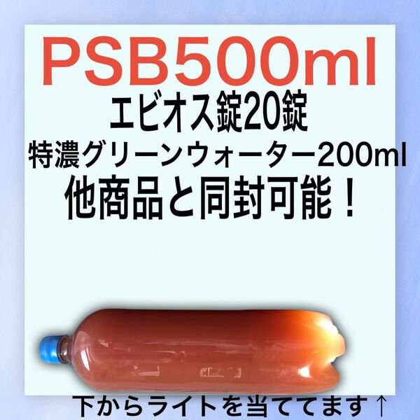 【送料無料】特濃青水300ml、PSB光合成細菌500ml、エビオス錠のセット！