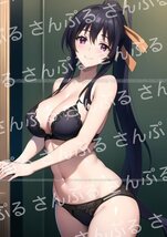 0hq [おまけあり] ハイスクールDD 姫島朱乃 同人ポスター A4サイズ 光沢 高品質 イラスト アート アニメ ハイスクールD×D ハイスクールDxD_画像1