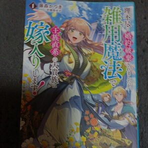 理不尽に婚約破棄されましたが、雑用魔法で王族直系の大貴族に嫁入りします！　１ （ＭＦブックス） 藤森かつき／著