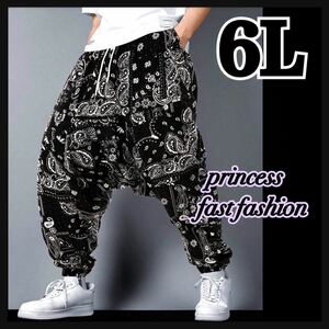 [6L]peiz Lee * sarouel pants * large size * men's * lady's 